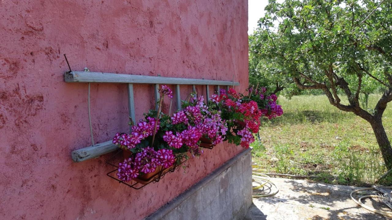Casa Alle Vigne Polignano a Mare Extérieur photo